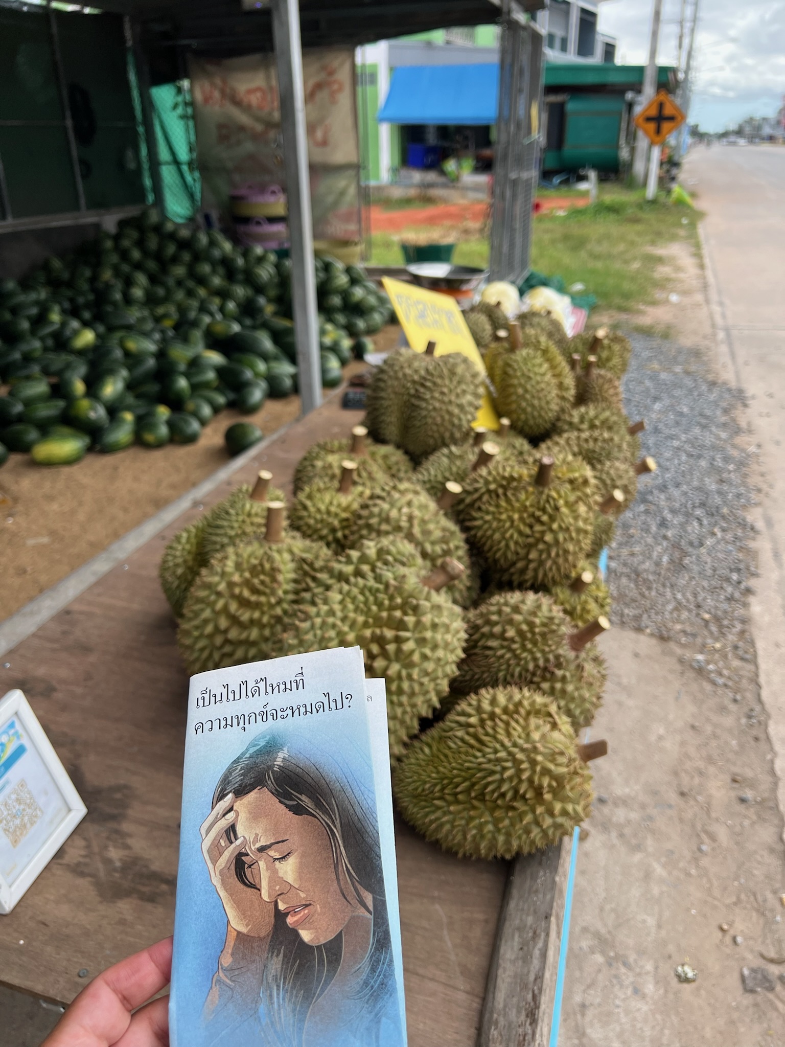 Fresh durian and watermelons at a roadside fruit stand