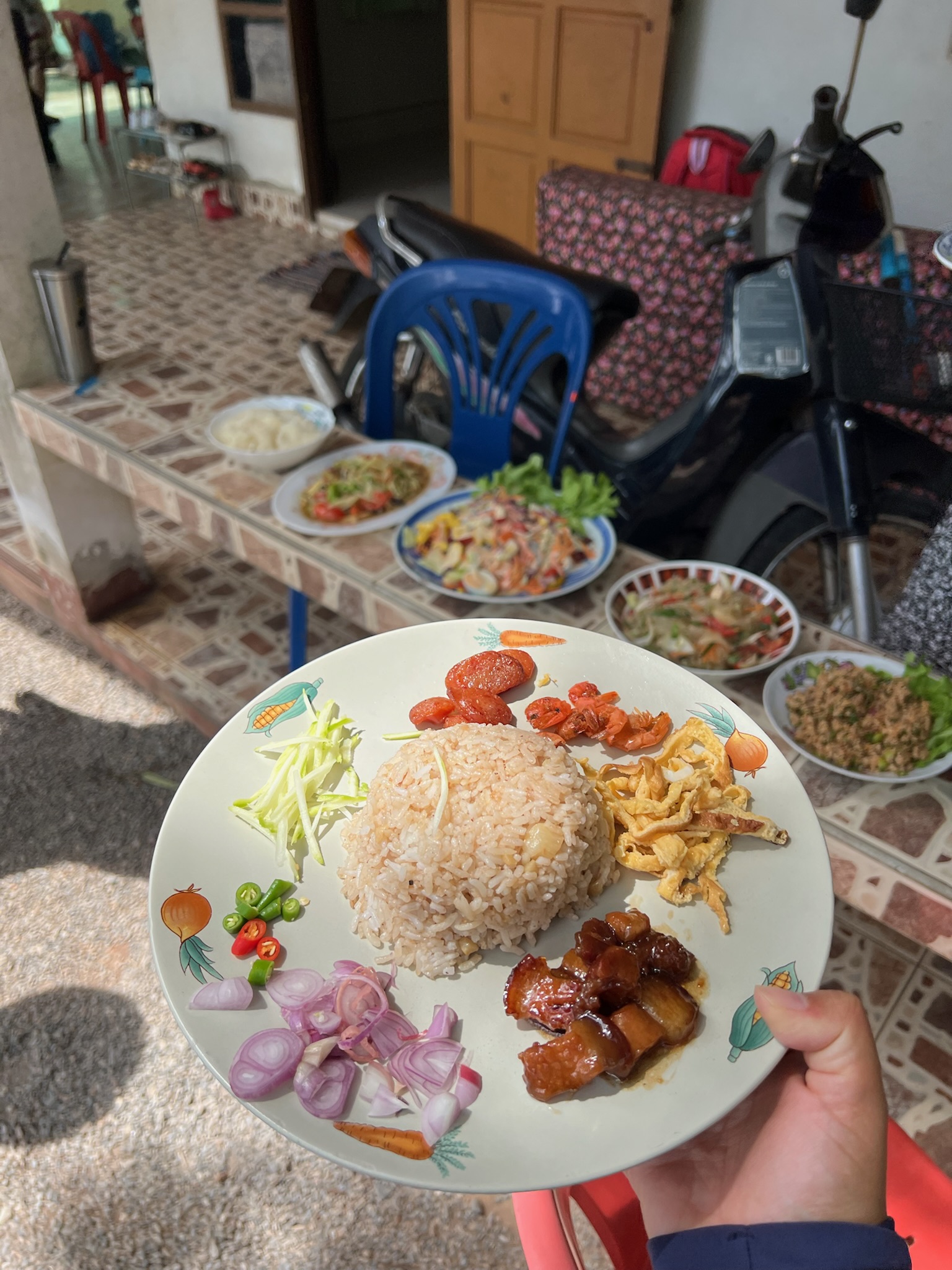 A plate of rice and local dishes prepared for friends