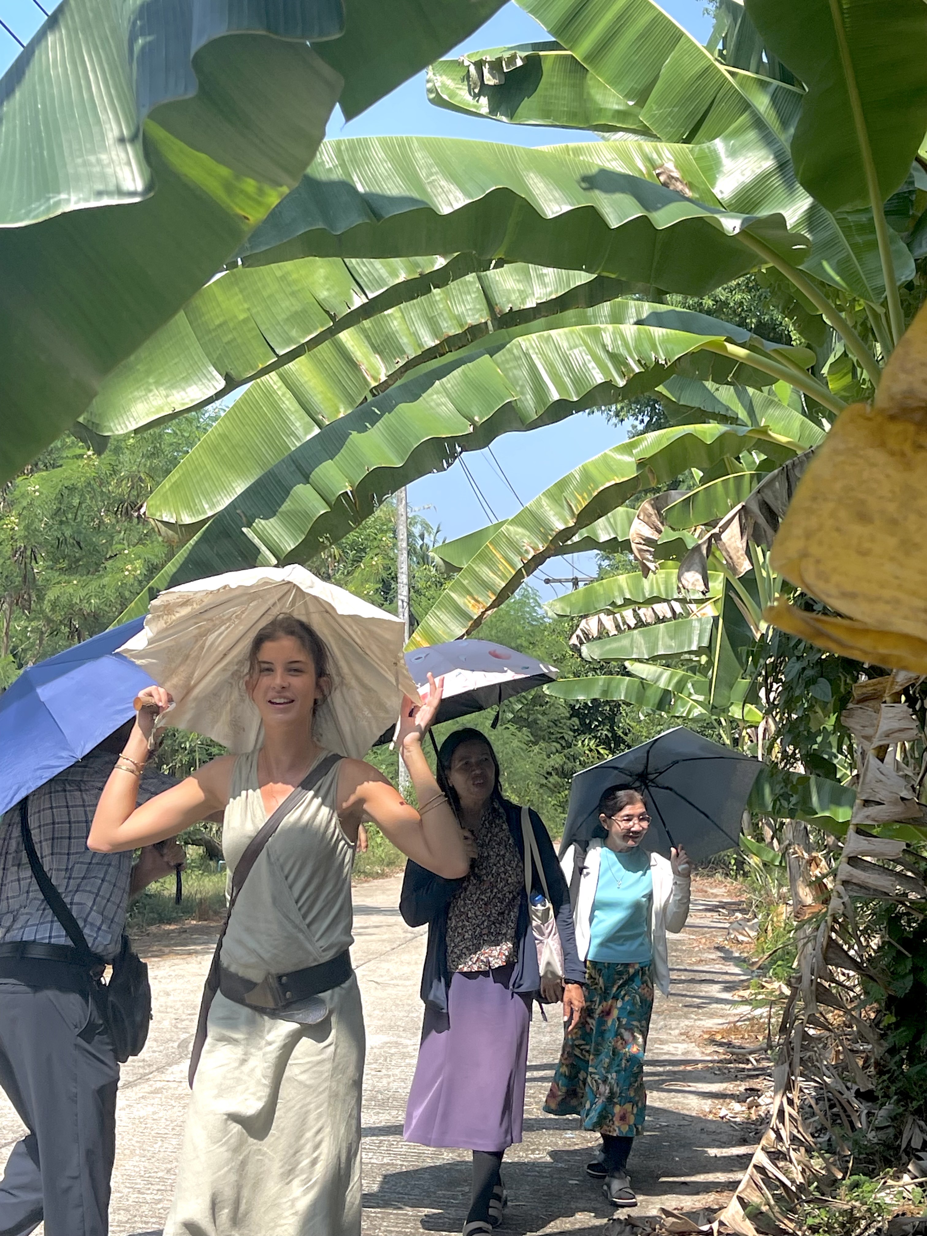 Friends walking under umbrellas along a sunny banana-lined road