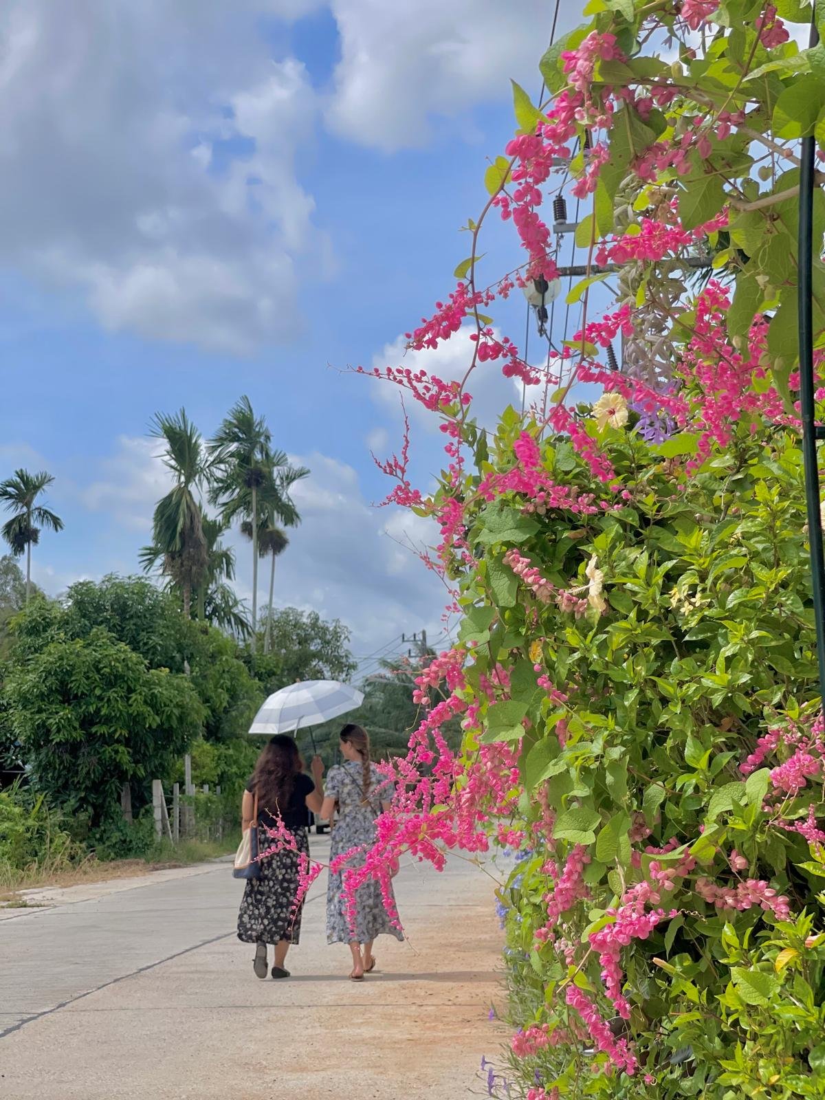 Two friends walking together beside a wall of pink flowers