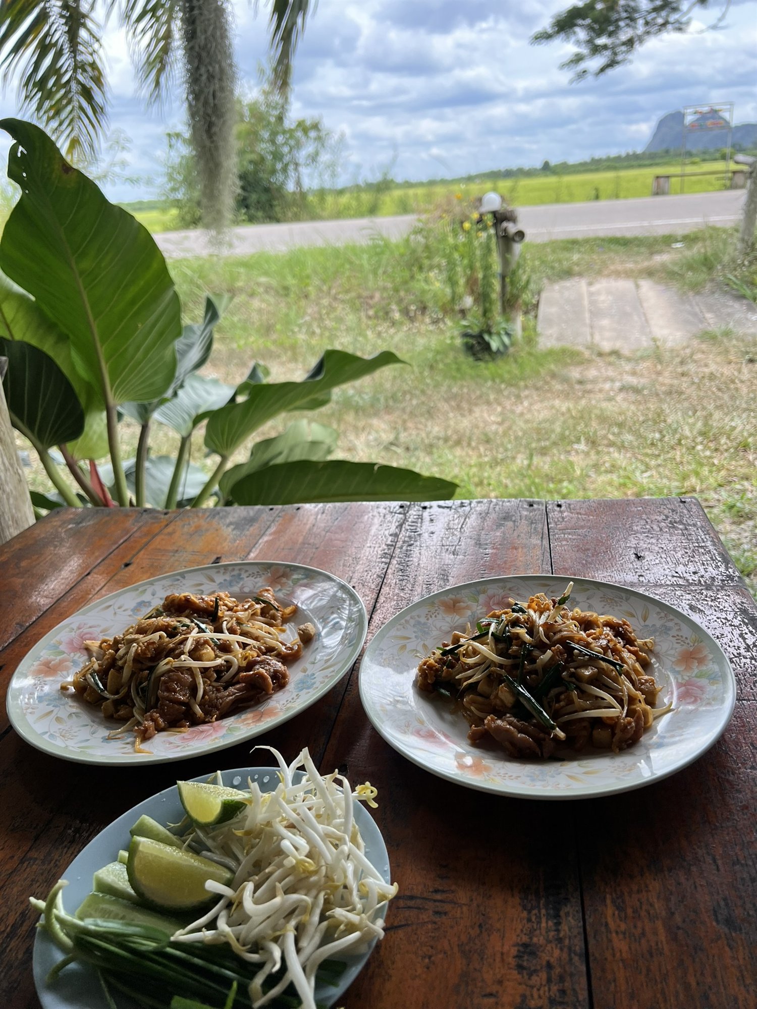 Two plates of pad thai served at a table overlooking green rice fields