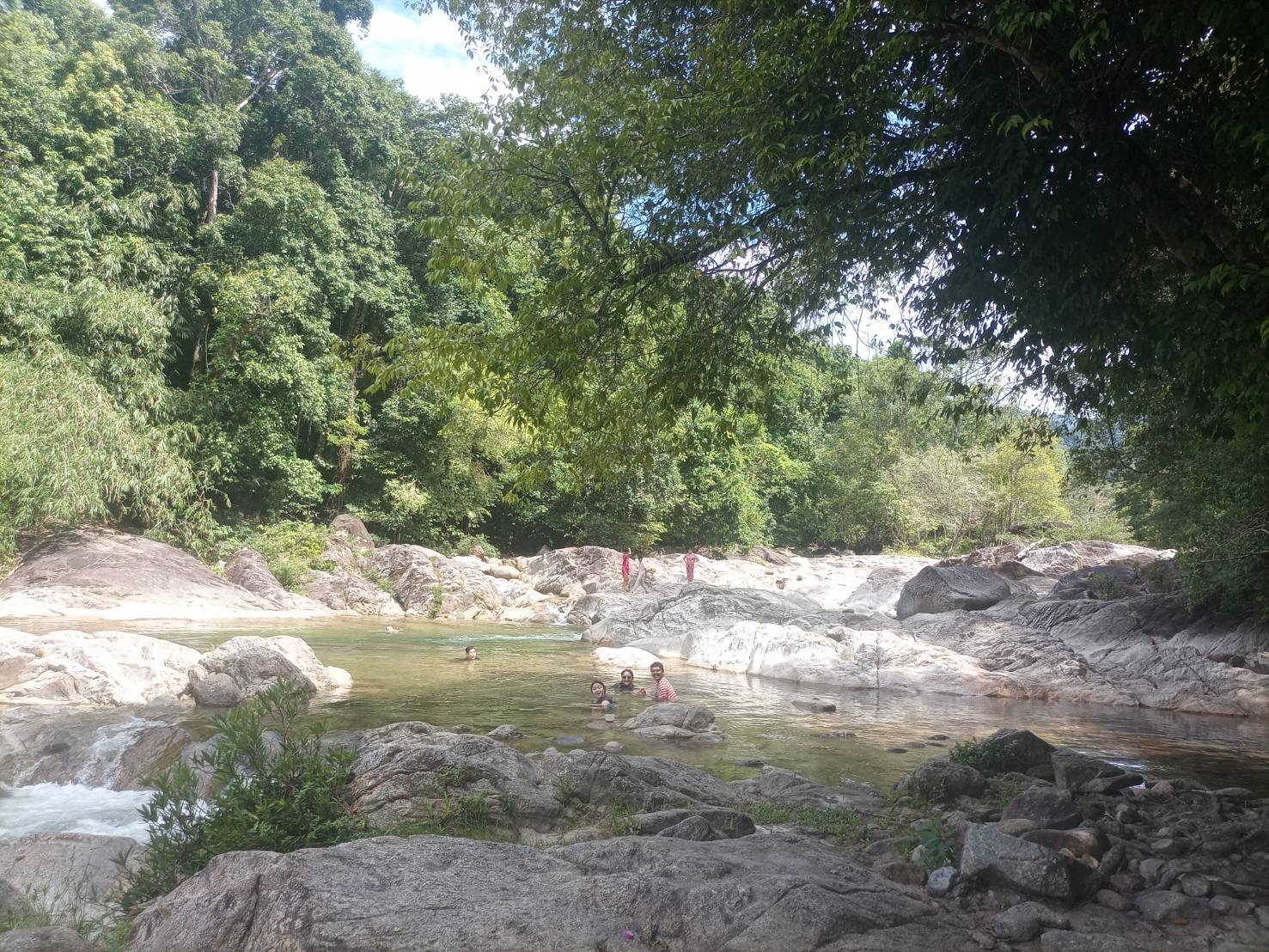Friends swimming in a clear rocky pool surrounded by forest