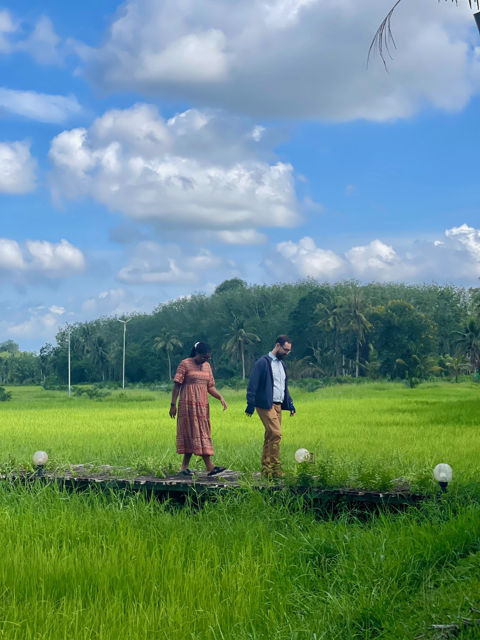 Friends walking side by side through vivid green rice fields
