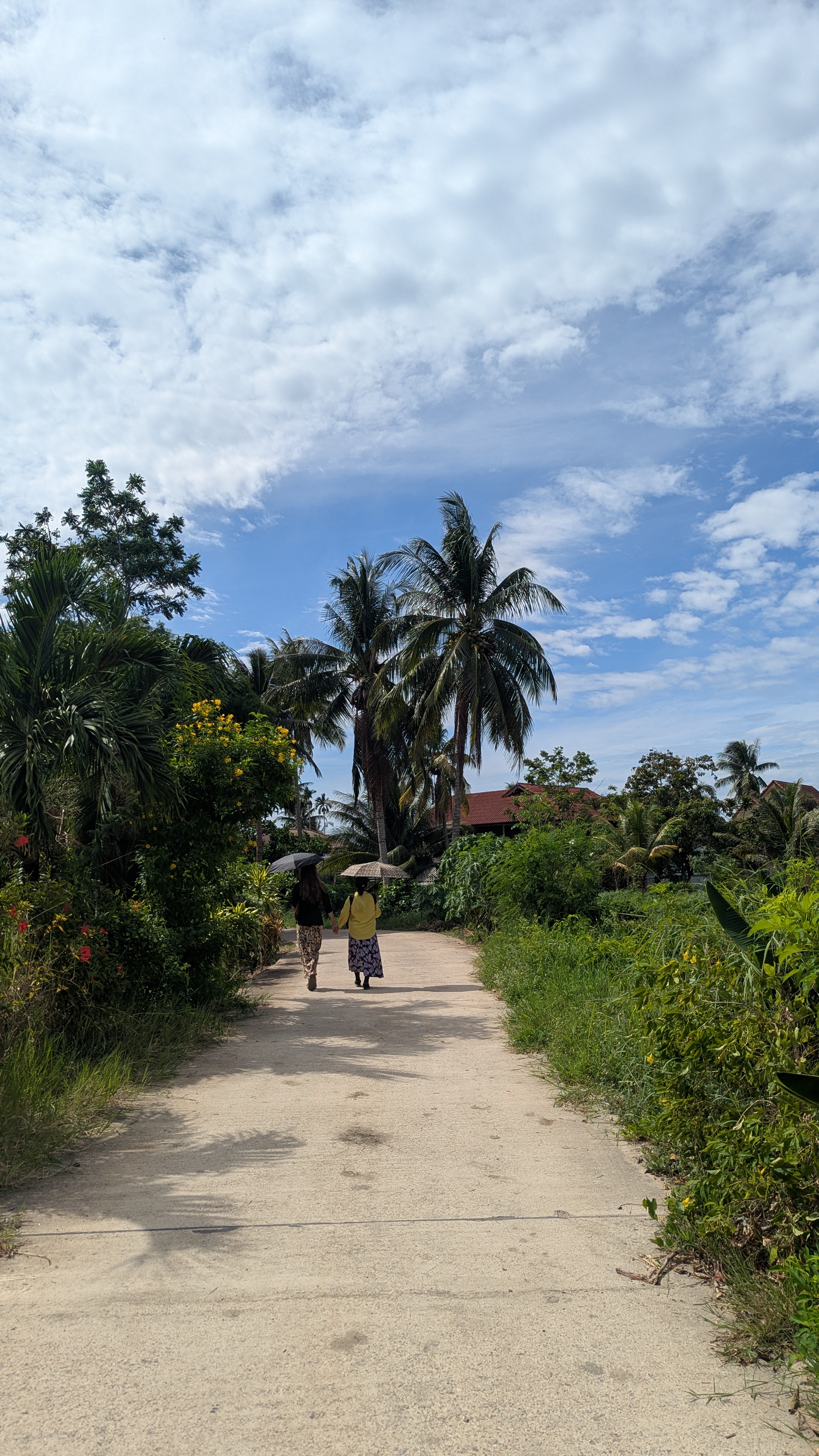 Two friends walking together down a peaceful village road